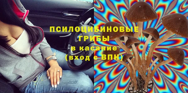 дмт Лиски