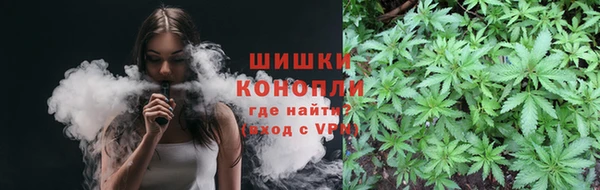 дмт Лиски